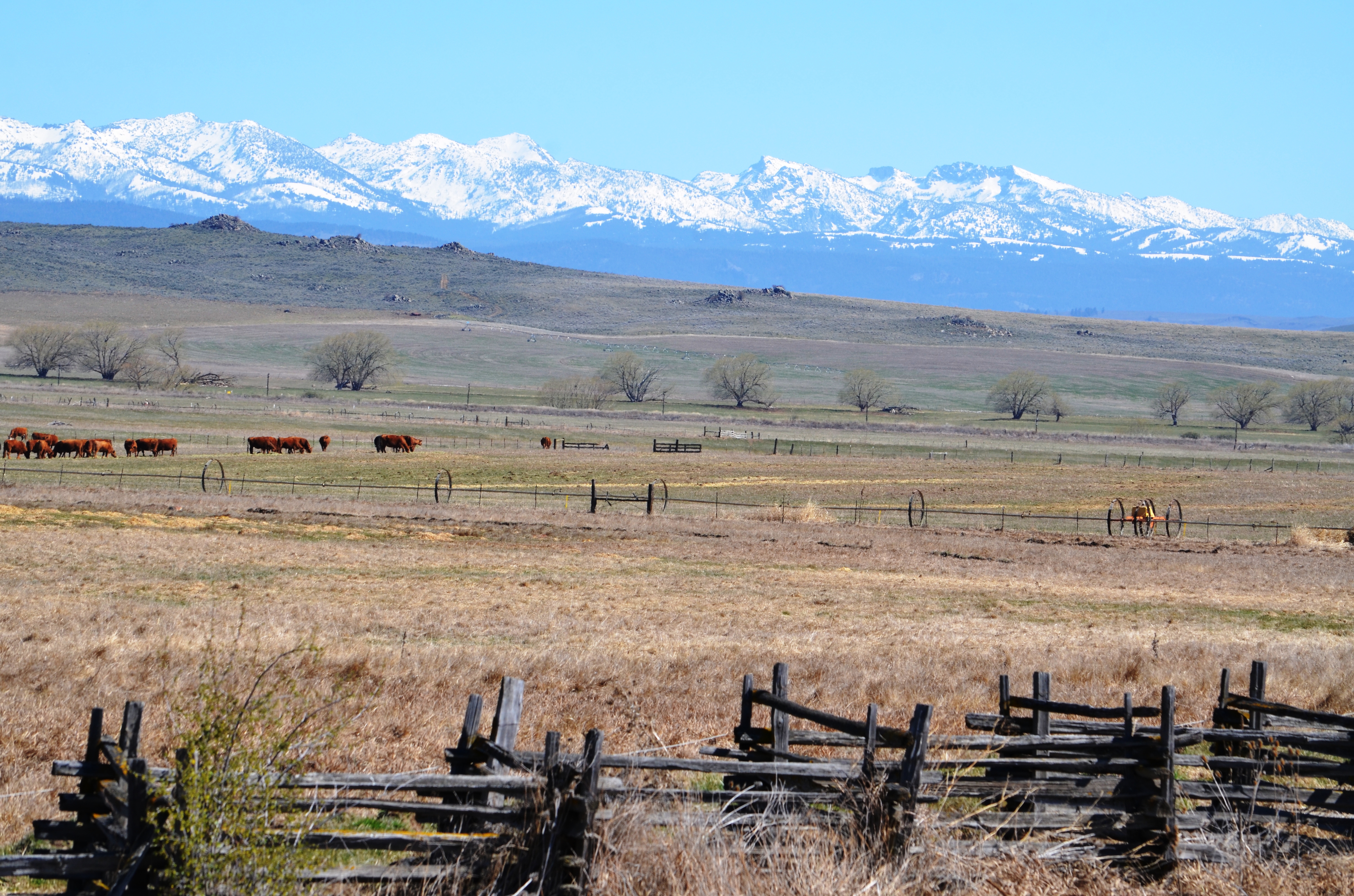 global af investing inc baker city